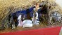 San Lussorio | Martire - presepe_san_lussorio_2015